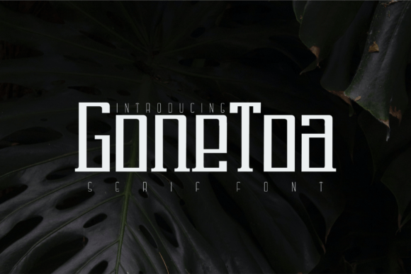Gonetoa Font: A Designer’s Journey Through a Seasonal Serif Typeface