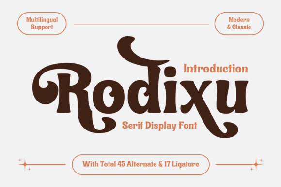 How Rodixu Font Elevates Your Brand’s Professional Look