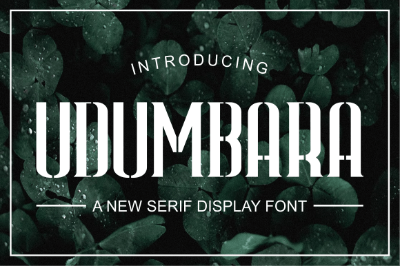 Udumbara Font: A Simple Typography Upgrade for Your Brand