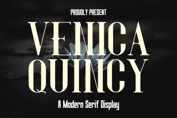 Venica Quincy Font: A Serif Typeface for Strong Web Design